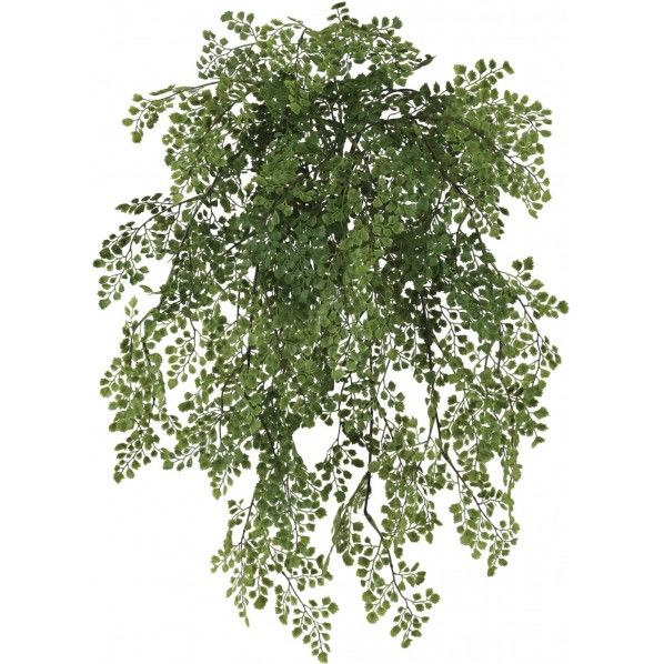 アジアンタム 便利グッズ(文具・OA機器) GLKK-1437 1本