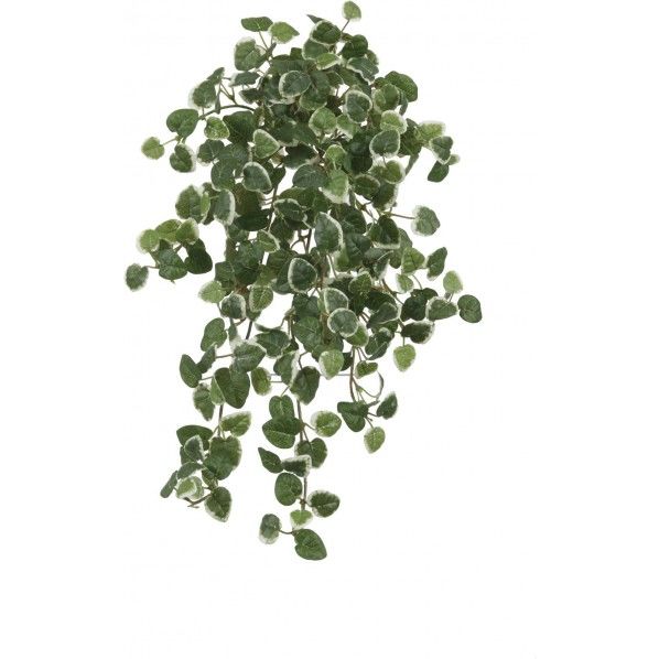 プミラ 便利グッズ(文具・OA機器) GLKK-1441 1本