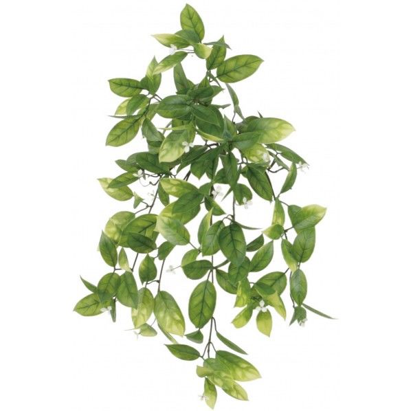 ワンダリングジュー 便利グッズ(文具・OA機器) GLKK-1452 1本