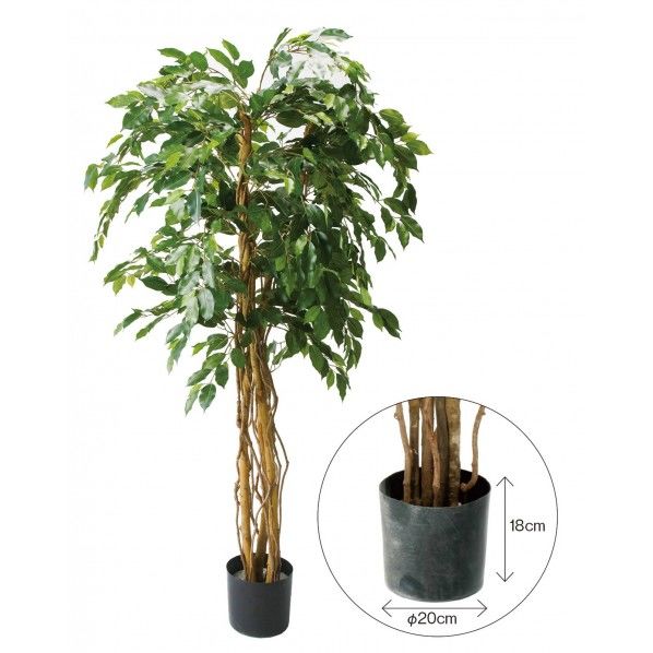 ベンジャミントリプルバイン1.8M 便利グッズ（文具・OA機器） GLP-1190 1本