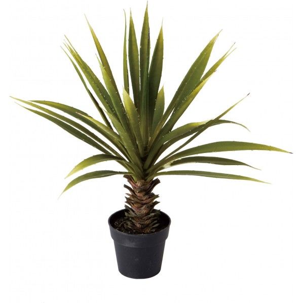 ショートステムアガベ 便利グッズ(文具・OA機器) GLP-1471 1本