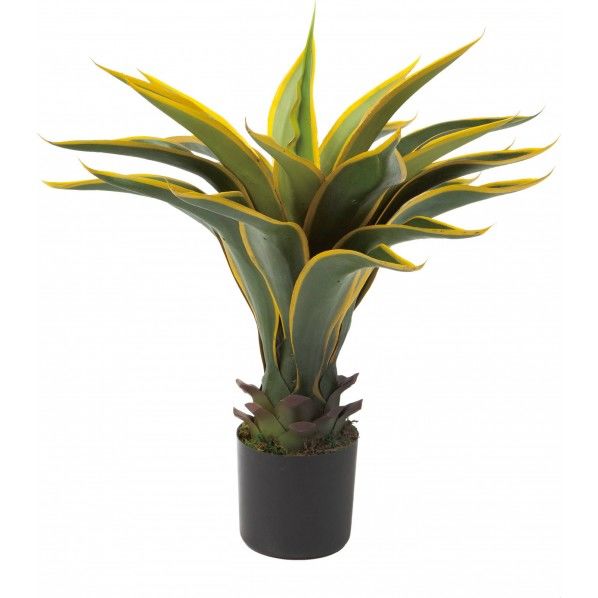 アガベイエローエッジ 便利グッズ（文具・OA機器） GLP-1482 1本