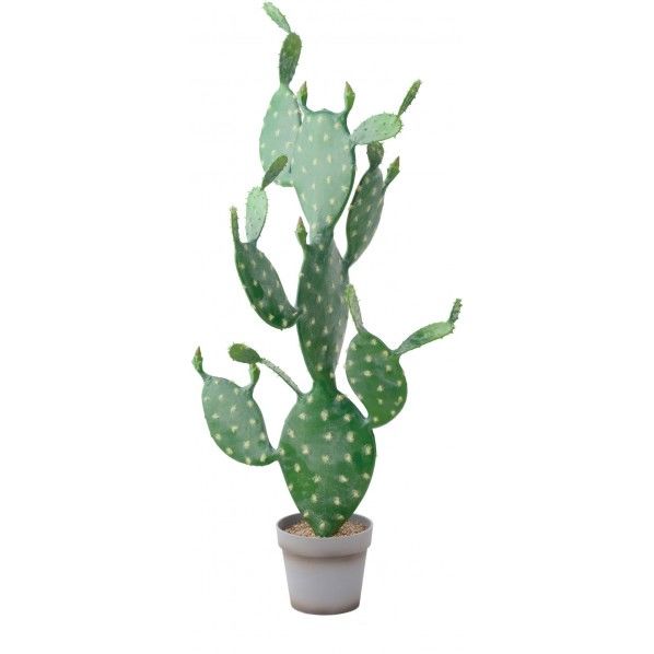 ウチワサボテン 便利グッズ（文具・OA機器） GLP-1488 1個