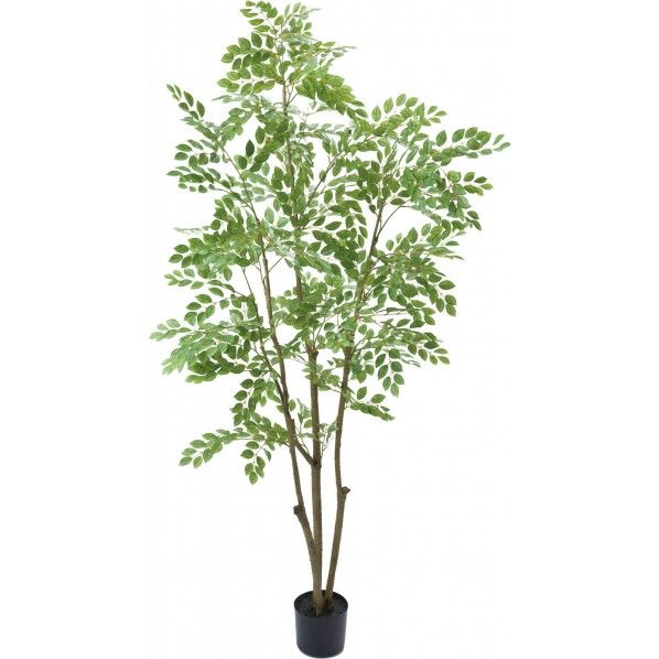 180CMトネリコ GR 便利グッズ(文具・OA機器) GLP-1497 1本