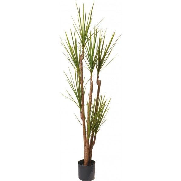 ユッカロストラータツリー GR 便利グッズ（文具・OA機器） GLP-1504 1本