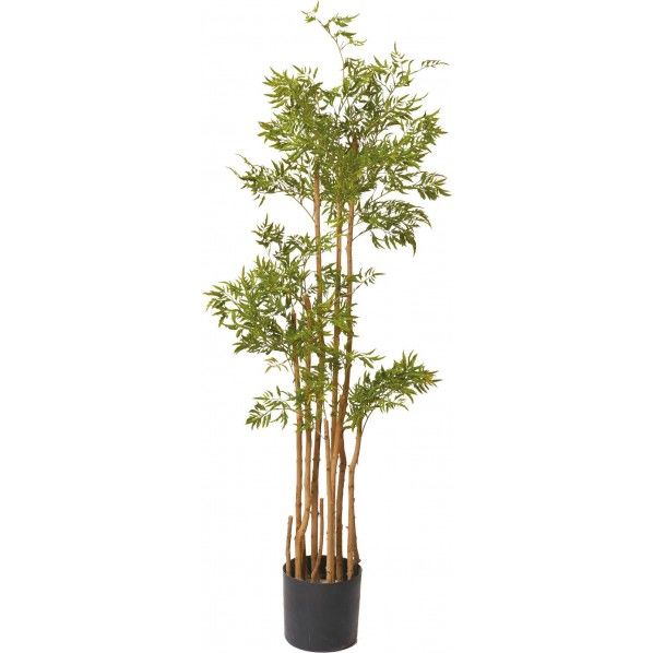 ポリシャスツリ-M GR 便利グッズ(文具・OA機器) GLP-1505 1本