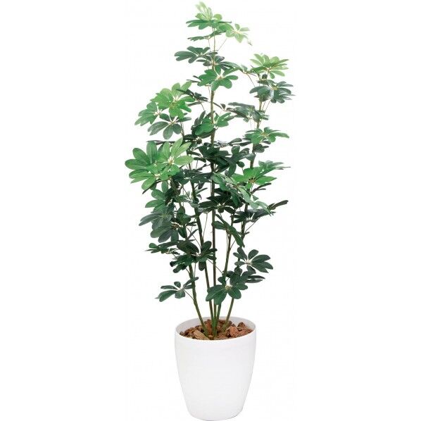 カポック W 1.8m GLPA-004 1本