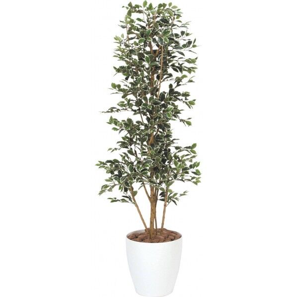 ガジュマルタワー W 1.7m GLPA-005 1本