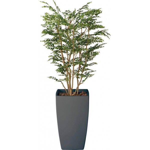 アートゴールデンツリー BLK 1.8m GLPA-011 1本