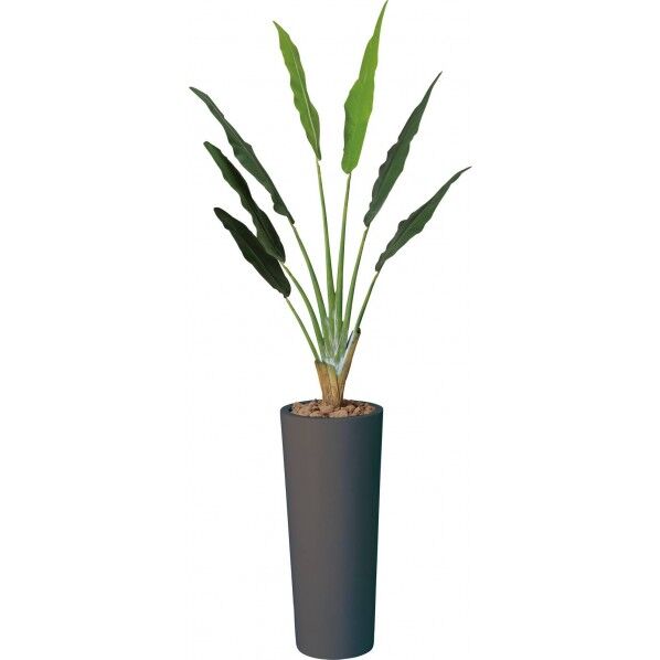 アートトラベラーズパーム BLK 2.1m GLPA-024 1本