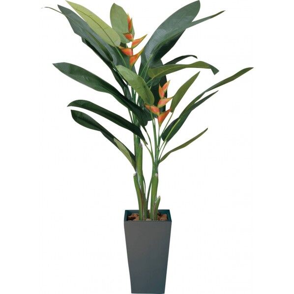 ヘリコニア2M BLK 便利グッズ(文具・OA機器) GLPA-028 1本