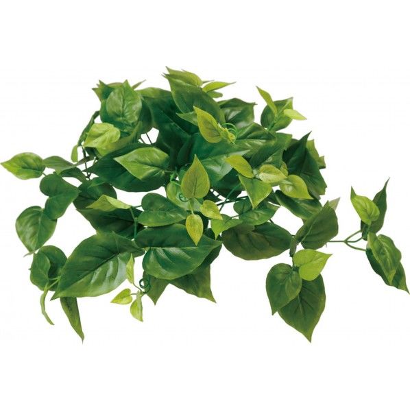 ライムポトスブッシュ 便利グッズ(文具・OA機器) GLSK-0001 1本