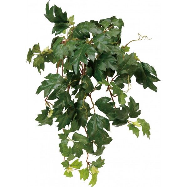 エレンダニカブッシュ 便利グッズ(文具・OA機器) GLSK-0004 1本