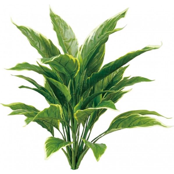 ホスタブッシュ 便利グッズ（文具・OA機器） GLSK-0013 1本