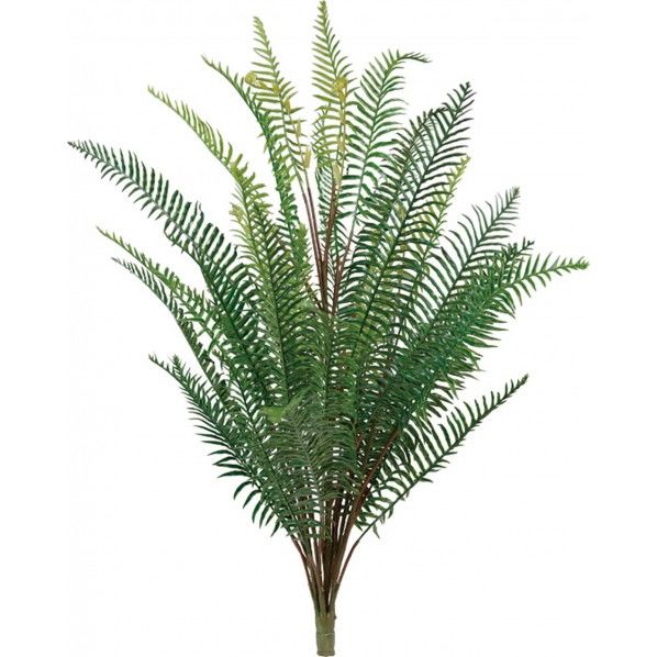 スワードファーンブッシュ 便利グッズ（文具・OA機器） GLSK-0027 1本