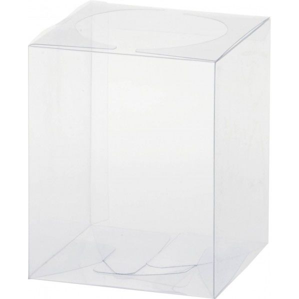 クリアボックスSS10P(105*130) 便利グッズ(文具・OA機器) MB -0001 1パック