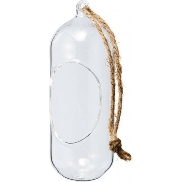 ハンギンググラスカプセル