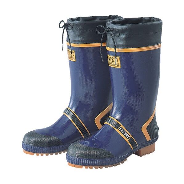 ジョルディックセフティーDX(先芯入り)