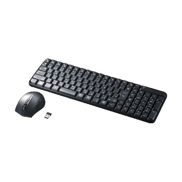 サンワサプライ マウス付きワイヤレスキーボード SKB-WL25SETBK 1点