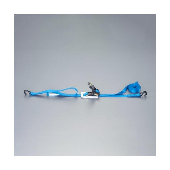 25mmx 4.0m/ ベルト荷締機(両端フック型) EA982RG-4 1本