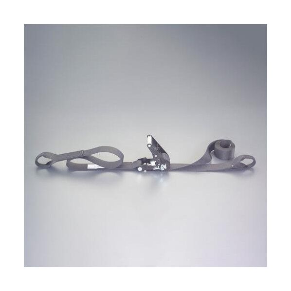 50mmx10.0m/ 764kg ベルト荷締機(両端アイ型) EA982SH-30 1個