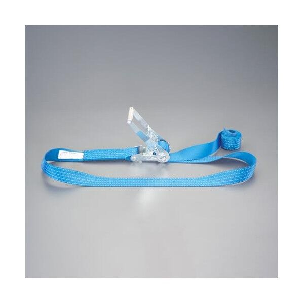 50mmx 8.0m/2030kg ベルト荷締機(エンドレス) EA982SB-48 1個