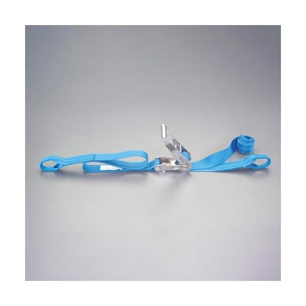 ※法人専用品※エスコ 50mmx 5.0m/ ベルト荷締機(両端アイ/SUS) EA982SD-25 1個...