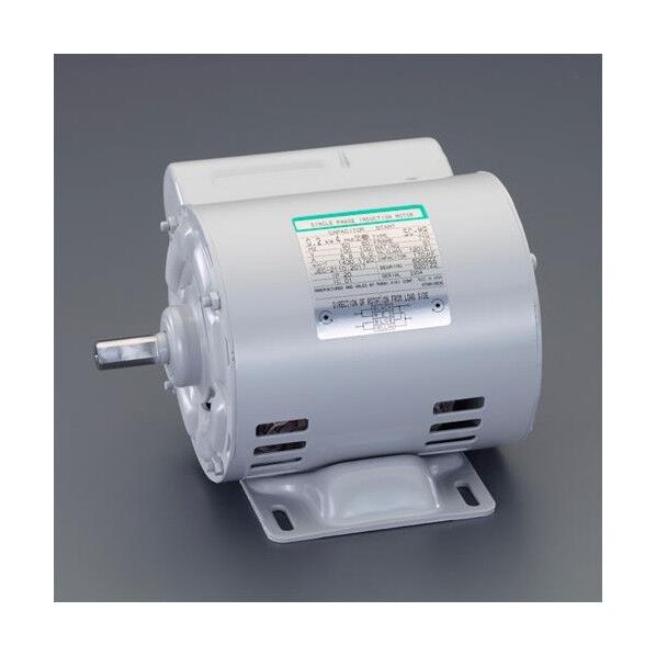 AC100V･250W 単相モーター(コンデンサ始動式)