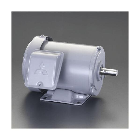 AC200V･0.2 kw 三相モーター(全閉外扇･屋内形)