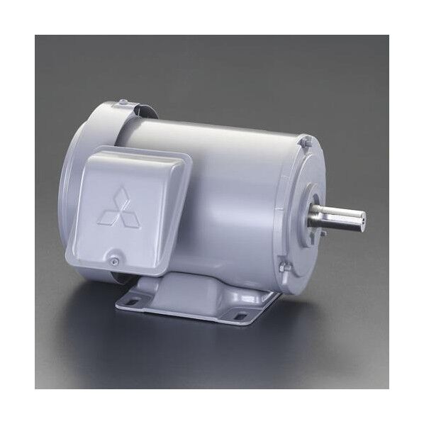 AC200V･0.4 kw 三相モーター(全閉外扇･屋内形)