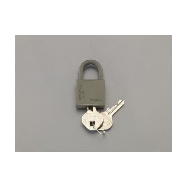 エスコ(esco) 30mm シリンダー南京錠(OD色) EA983SG-230