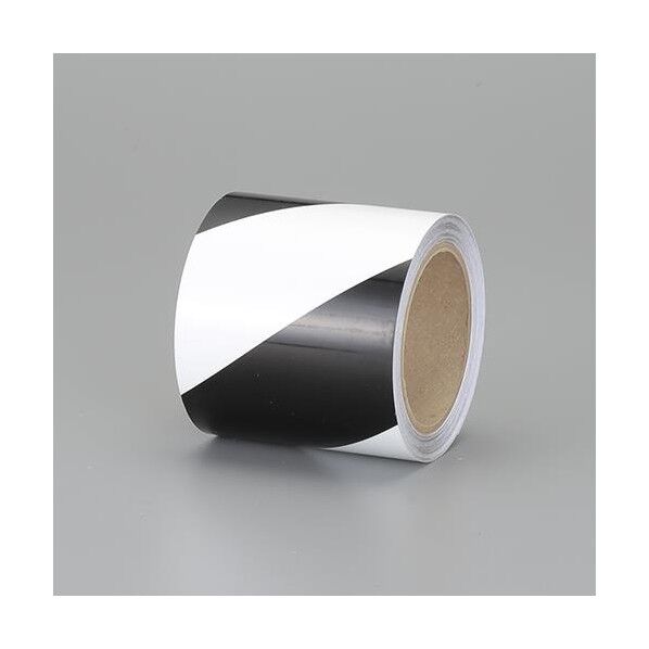 50mmx9.1m 蓄光テープ(黒/白)