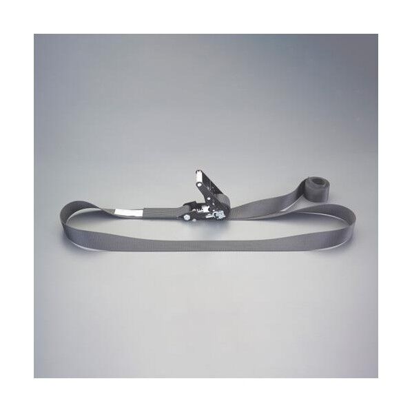 ※法人専用品※エスコ 50mmx10.0m/1520kg ベルト荷締機(エンドレス) EA982SJ-30 1個...