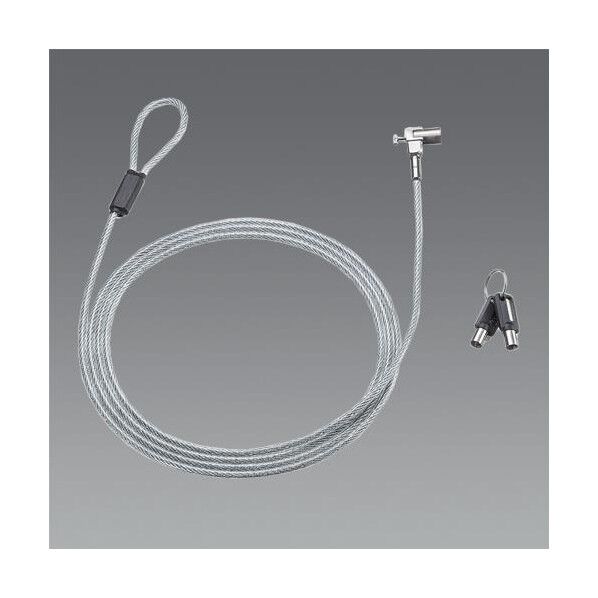 2.0m 超小型シリンダセキュリティ