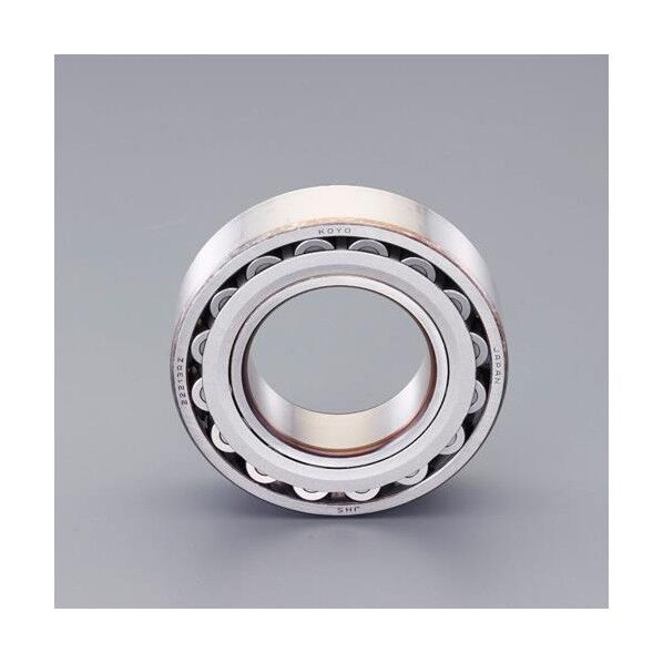 [22215RZ]自動調心コロ軸受