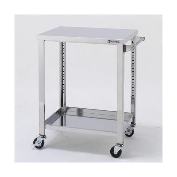 エスコ(esco) 750x600x800mm/100kg ワゴン(二段/ステンレス製) EA956NA-43 1台