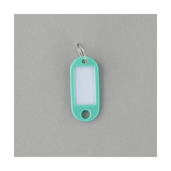 エスコ(esco) 22x52mm ネームタグ(緑/5個) EA956VL-211 1袋...