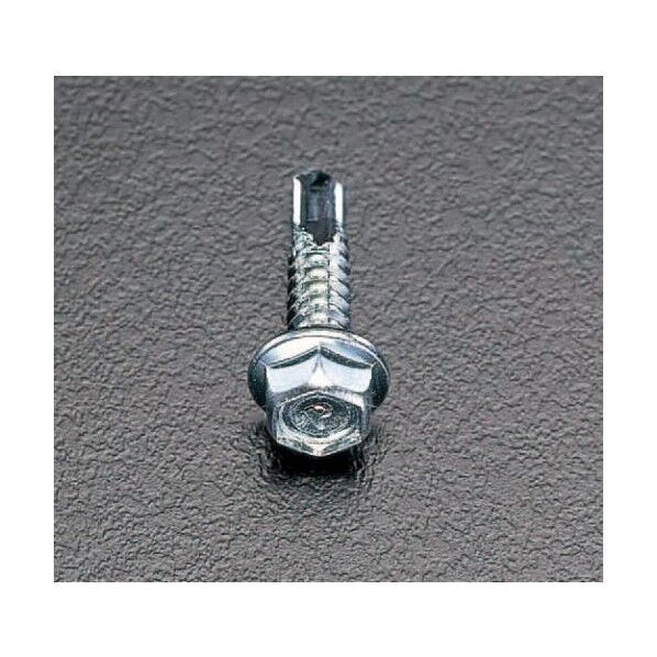 エスコ(esco) 6x19mm ピアスビス(六角頭/ステンレス/30本) EA949EG-761