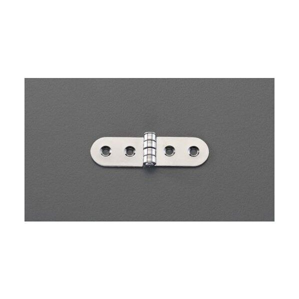 20 x 75 mm 丸型ヒンジ(ステンレス製/2個)