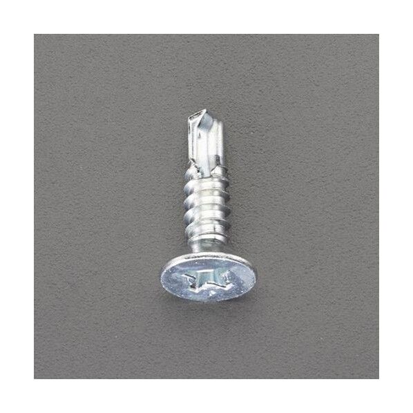 エスコ(esco) 5x16mm ピアスビス(皿頭/鉄/700本) EA949EG-450 1箱