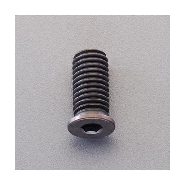 M 5x20 六角穴付ボルト(超低頭/小径/生地