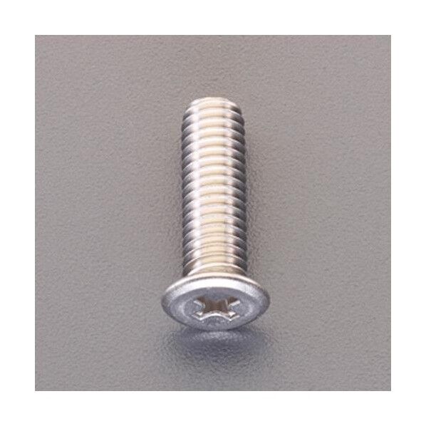 M 6x20mm 十字穴付ボルト(低頭/ステンレス)