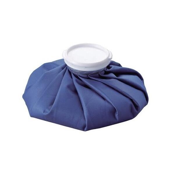 アイスバッグ 1100mL EA917HE-22 1個