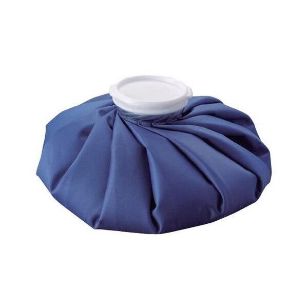 1900mL アイスバッグ