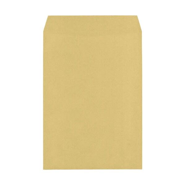 角形封筒 クラフト(オリンパス) 封筒