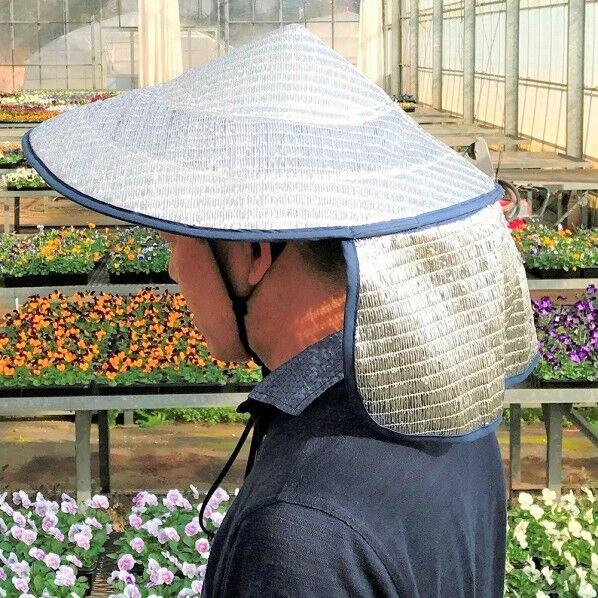 槍木産業 アジアン涼かちゃん 1個