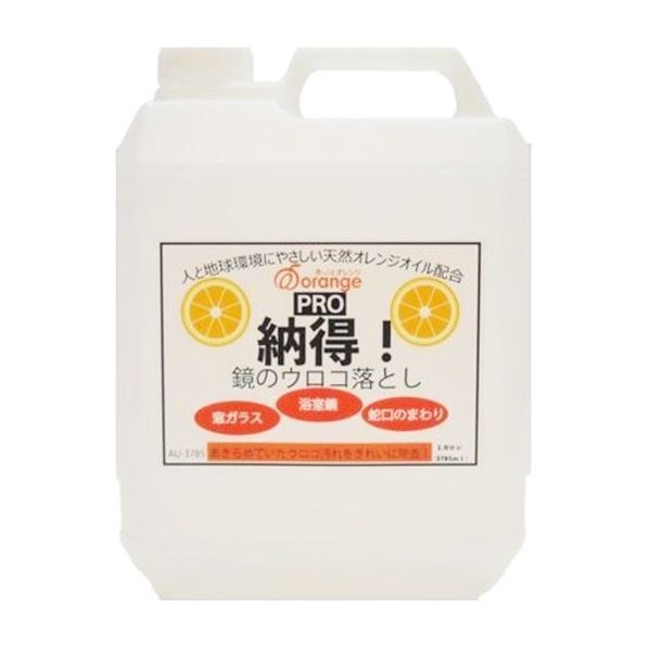 鏡のウロコ落とし 業務サイズ 1gal 1個