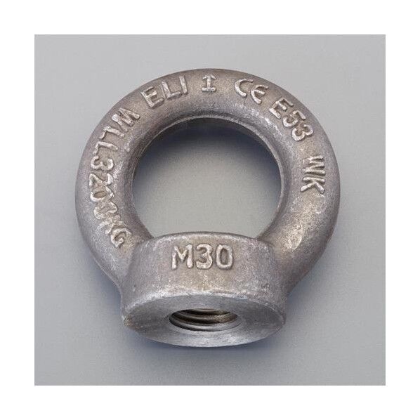 M 22 アイナット(炭素鋼製) EA638SD-69 1個