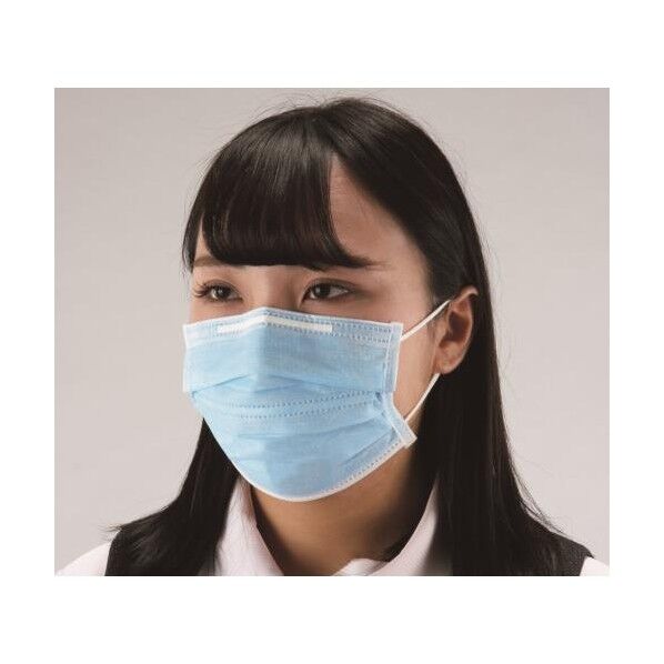 簡易防塵マスク(吸汗・快適呼吸型/50枚)