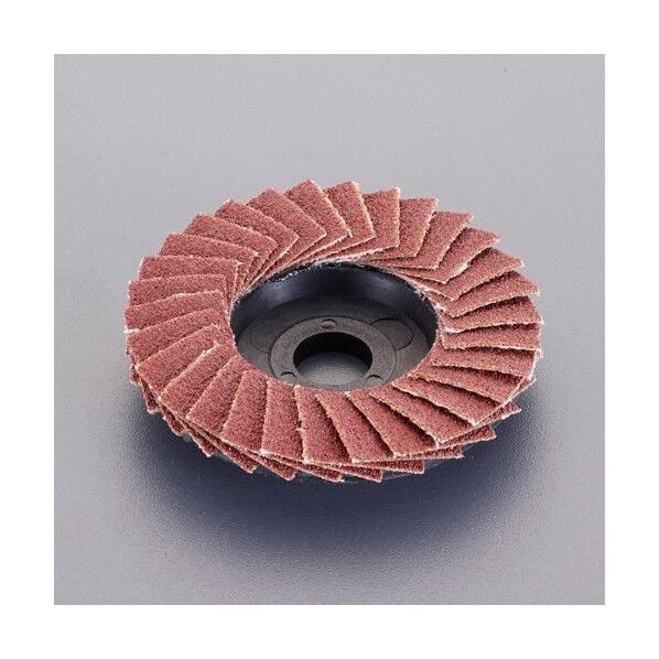 #100[EA809PX-21用]フラップディスク(金属.木材用